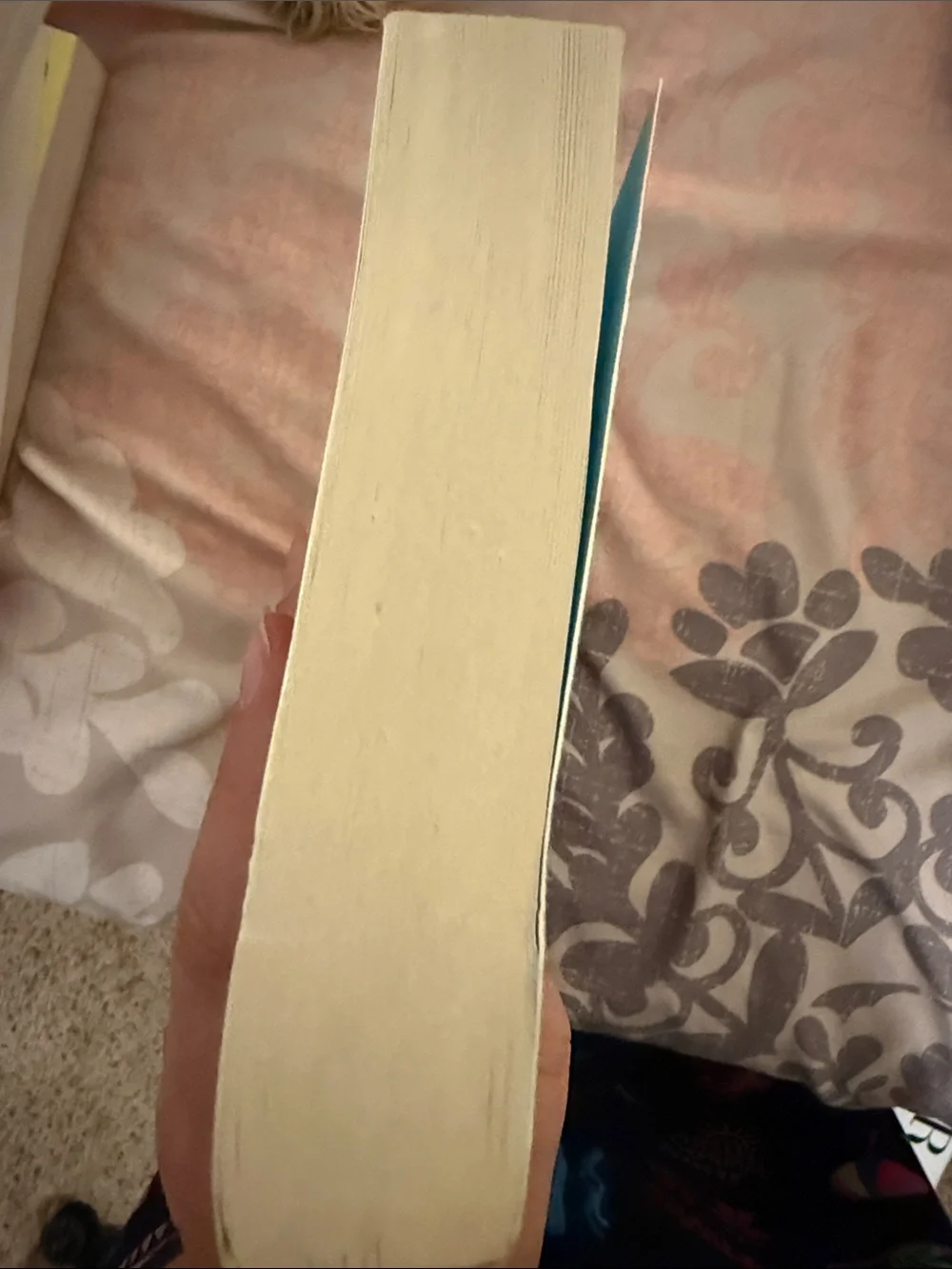 The favorite sister Jessica knoll paperback